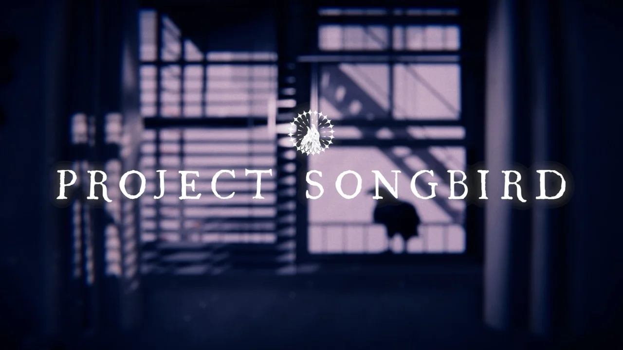Cover image for Project Songbird Review - PS5